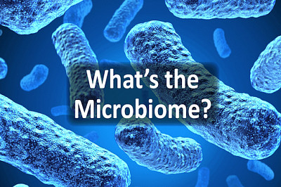 Что такое микробиом