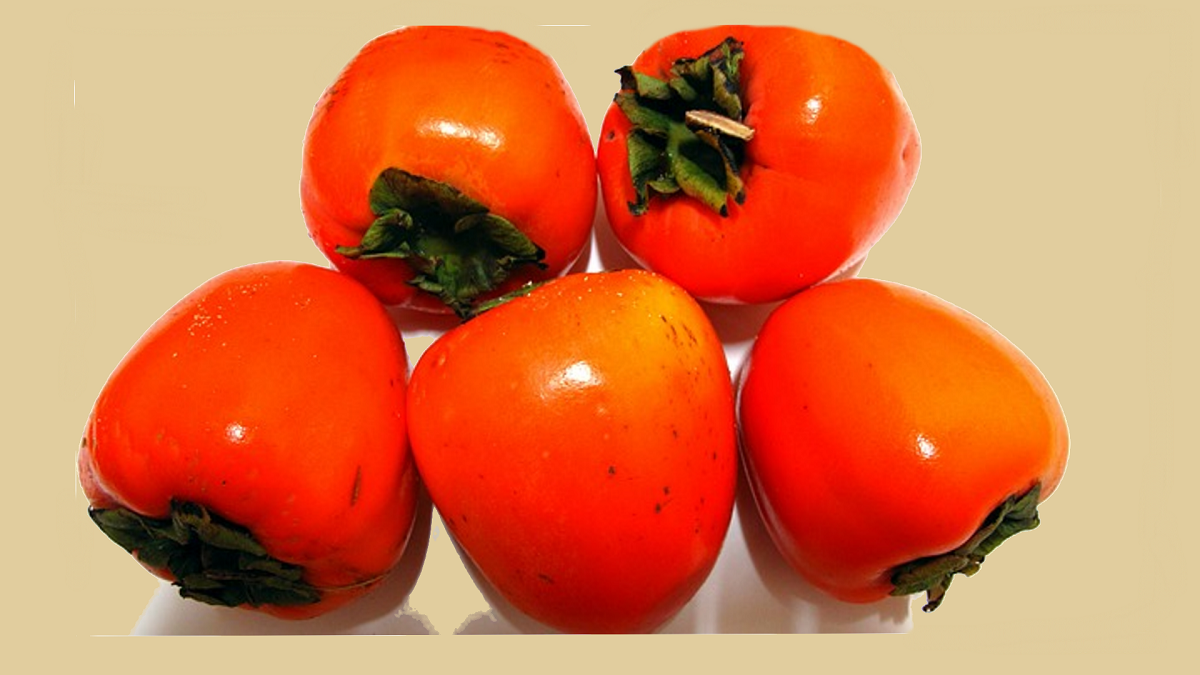 Полезные свойства оранжевых плодов