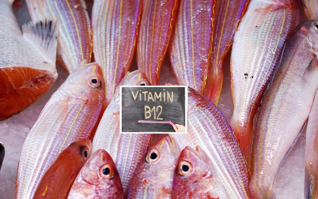 Полезные свойства витамина B12. Роль витамина B12 в организме