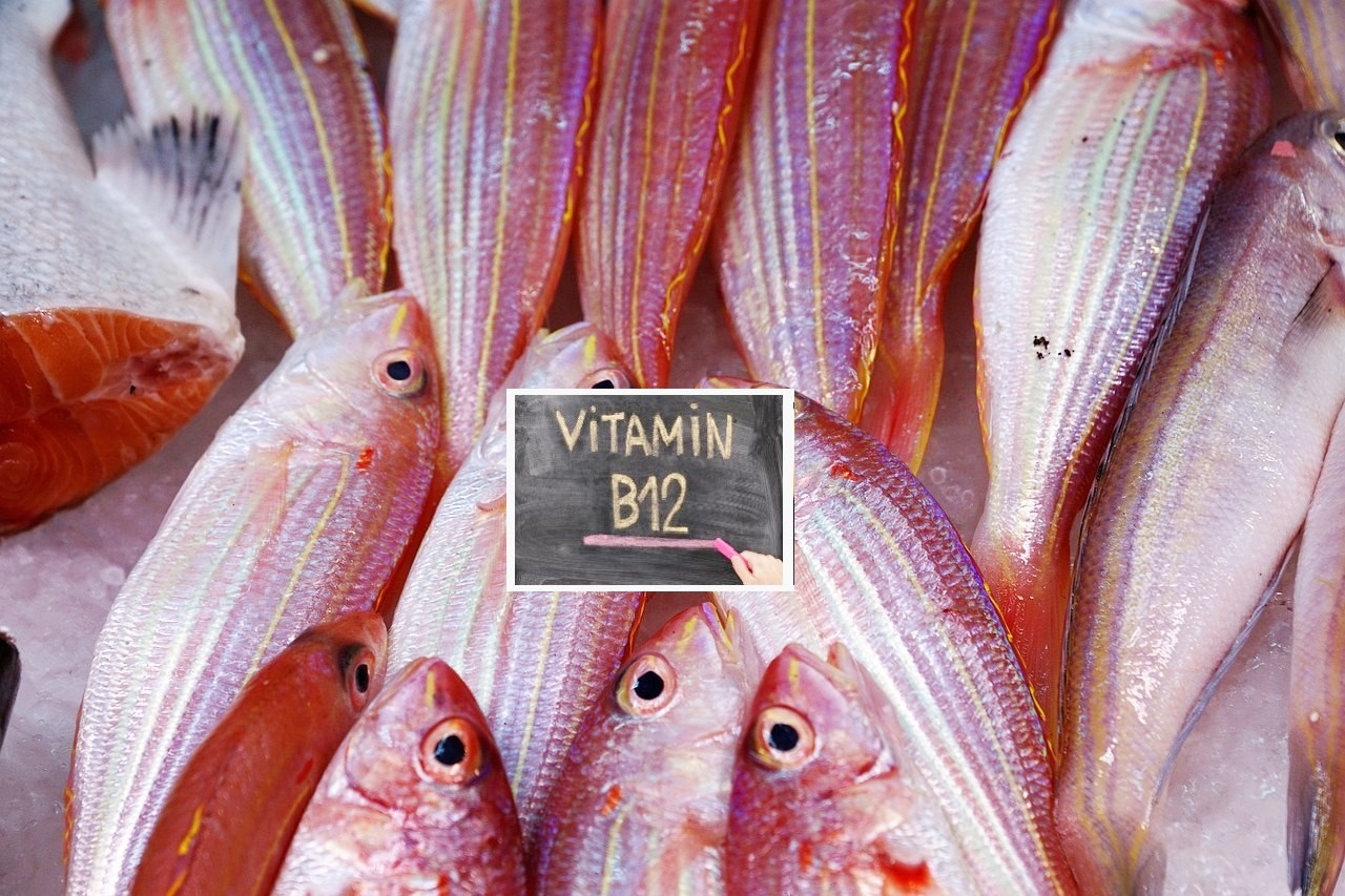 Полезные свойства витамина B12