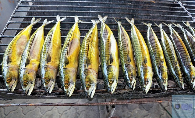 Какая польза от рыбьего жира